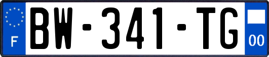 BW-341-TG