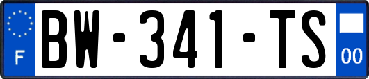 BW-341-TS