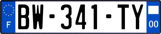 BW-341-TY