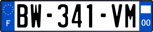 BW-341-VM