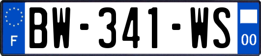BW-341-WS