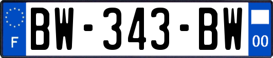 BW-343-BW