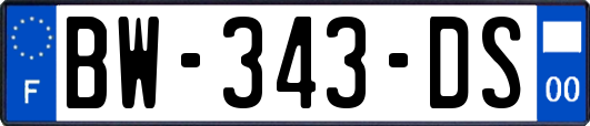 BW-343-DS