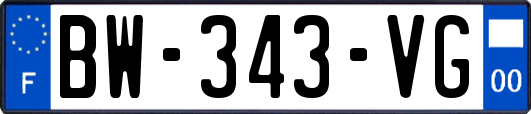 BW-343-VG