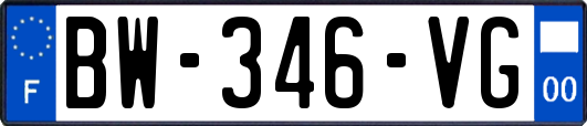 BW-346-VG
