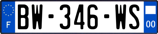 BW-346-WS