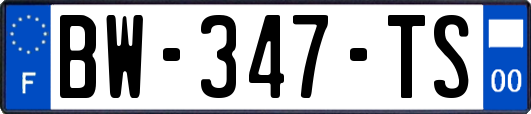 BW-347-TS