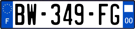 BW-349-FG