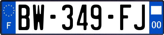 BW-349-FJ