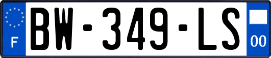 BW-349-LS