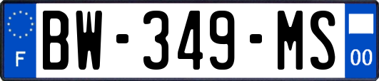 BW-349-MS