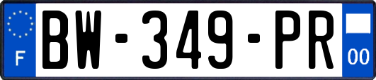 BW-349-PR