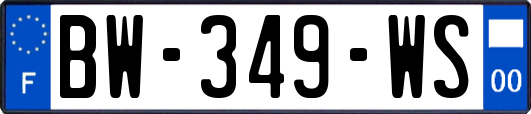 BW-349-WS