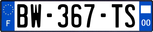 BW-367-TS
