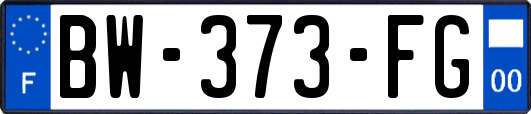 BW-373-FG