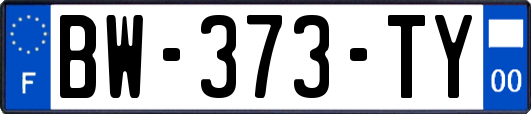 BW-373-TY
