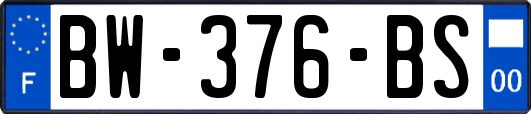 BW-376-BS