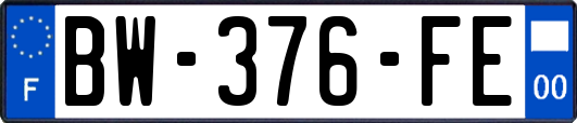 BW-376-FE