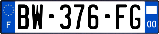 BW-376-FG