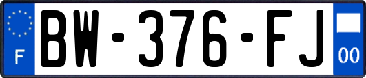 BW-376-FJ