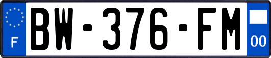 BW-376-FM