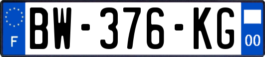 BW-376-KG