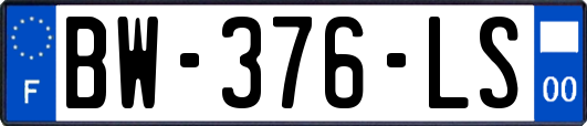 BW-376-LS