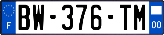 BW-376-TM
