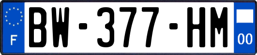 BW-377-HM