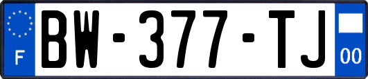 BW-377-TJ