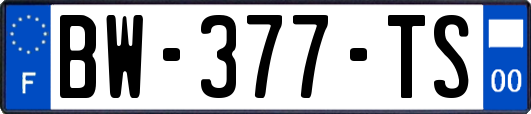 BW-377-TS