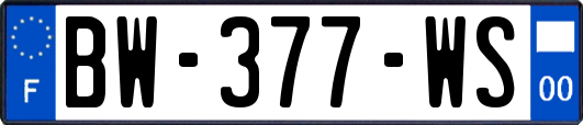 BW-377-WS