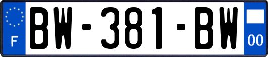 BW-381-BW