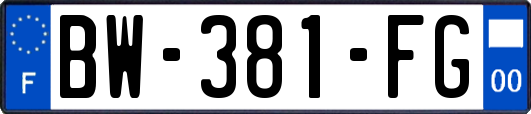 BW-381-FG