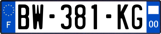 BW-381-KG