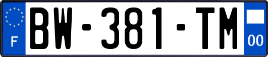 BW-381-TM