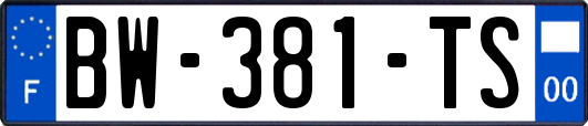 BW-381-TS