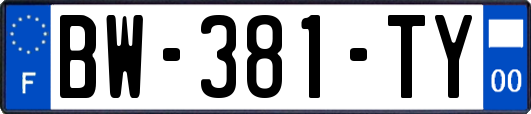 BW-381-TY