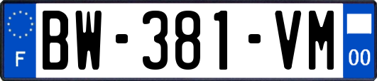 BW-381-VM