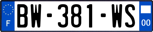 BW-381-WS