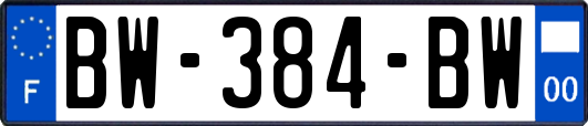 BW-384-BW