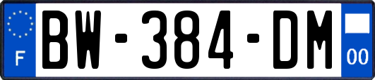 BW-384-DM