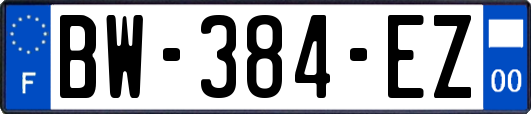 BW-384-EZ