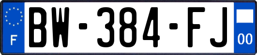 BW-384-FJ