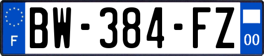 BW-384-FZ