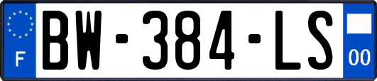 BW-384-LS