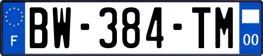 BW-384-TM