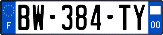 BW-384-TY