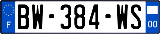 BW-384-WS