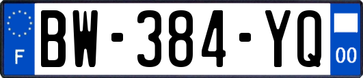 BW-384-YQ